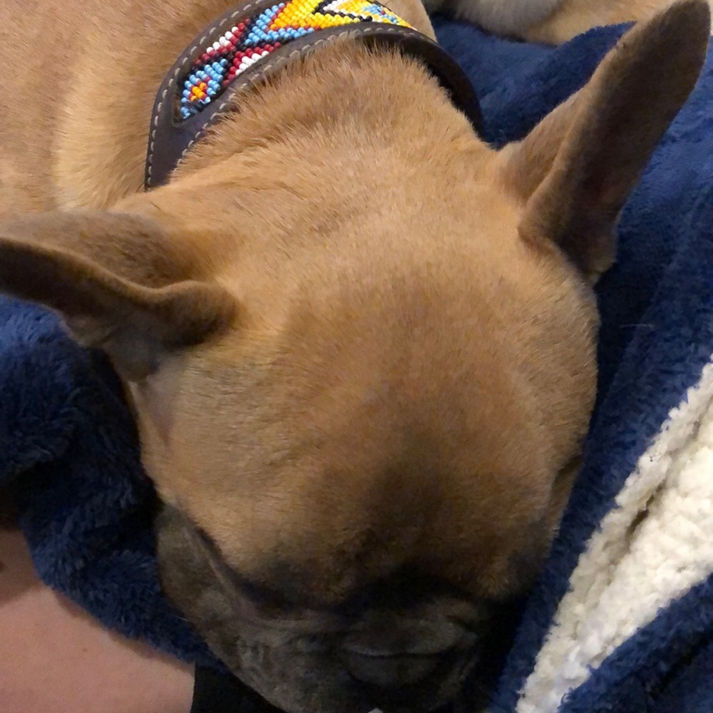 Meet your Posher, Clint